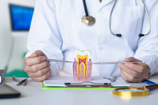 Best After-Hours Dental Care in Maan, ND